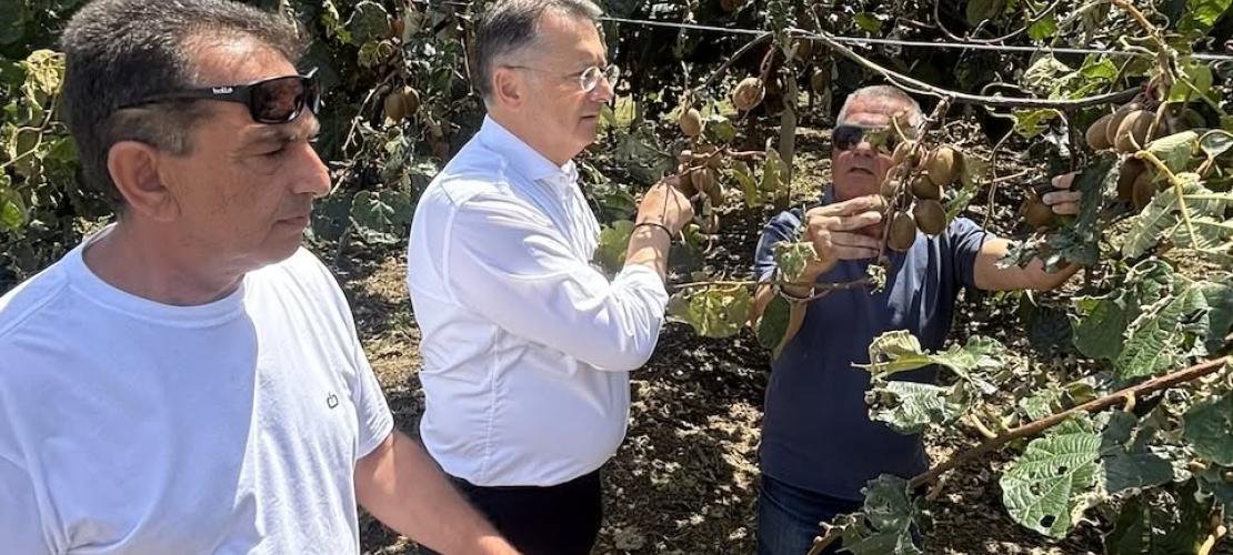Παρέμβαση Γιώργου Στύλιου για τις ζημιές από την πρόσφατη χαλαζόπτωση σε καλλιέργειες στην Άρτα 