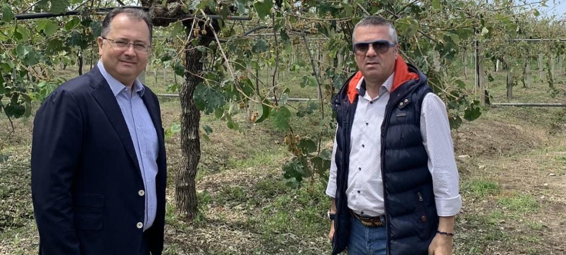  Γ. Στύλιος:2.6 εκατομμύρια ευρώ για ζημιές σε εσπεριδοειδή και ελιές