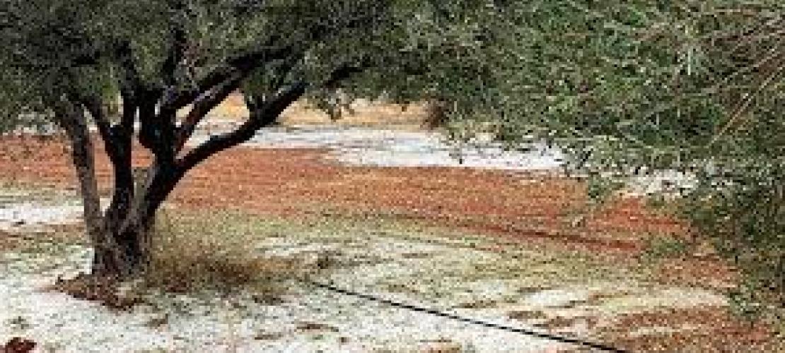 ΕΡΩΤΗΣΗ ΤΟΥ ΚΚΕ ΣΤΗΝ ΒΟΥΛΗ ΓΙΑ ΤΑ ΟΞΥΜΕΝΑ ΠΡΟΒΛΗΜΑΤΑ ΠΟΥ ΑΝΤΙΜΕΤΩΠΙΖΟΥΝ ΟΙ ΑΓΡΟΤΕΣ ΤΟΥ Ν. ΑΡΤΑΣ ΜΕΤΑ ΤΗΝ ΧΑΛΑΖΟΠΤΩΣΗ