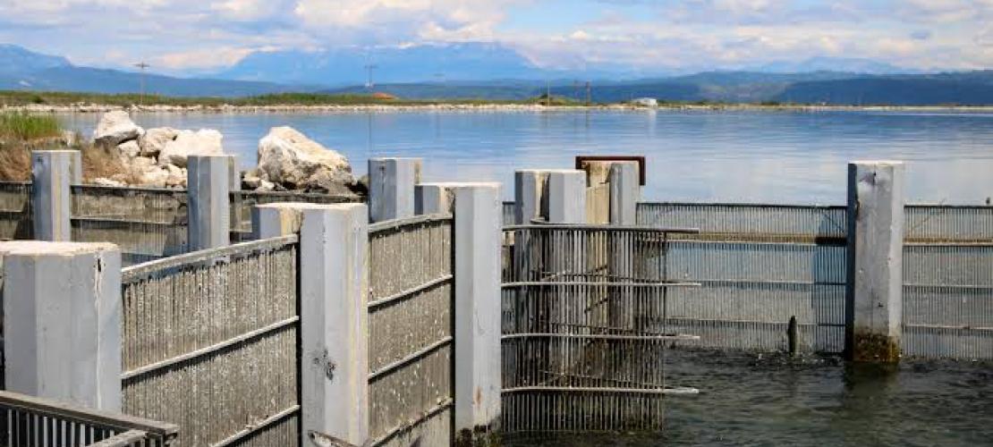 Η καταστροφή του Αμβρακικού πλησιάζει: Η κυβέρνηση το μετατρέπει σε βιομηχανική χαβούζα