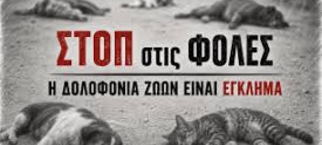 Ο Δήμος Αρταίων καταδικάζει κάθε περιστατικό θανάτωσης και κακοποίησης  ζώων