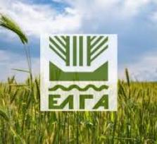 Άρτα:Πίνακες Διοικητικού Ελέγχου...