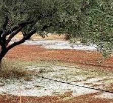 ΕΡΩΤΗΣΗ ΤΟΥ ΚΚΕ ΣΤΗΝ ΒΟΥΛΗ ΓΙΑ ΤΑ...