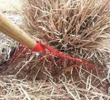 Καθαρισμός οικοπέδων από τους...