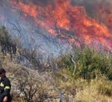 Δήμος Αρταίων – Έκκληση προς τους...