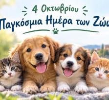 Άρτα:Ενημέρωση και ευαισθητοποίηση...