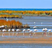 Άρτα:Δράσεις καθαρισμού στον...