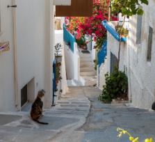 ΕΤΟΙΜΑΣΕ ΒΑΛΙΤΣΑ ΚΑΙ ΑΝΑΚΑΛΥΨΕ ΤΑ...