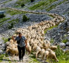 Άρτα: Αύριο η 145η επέτειος της...