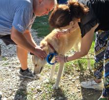 ΔΩΡΕΑΝ ΤΣΙΠΑΡΙΣΜΑ ΣΤΗΝ ΚΟΡΩΝΗΣΙΑ