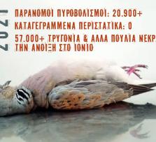 ΕΛΛΗΝΙΚΗ ΟΡΝΙΘΟΛΟΓΙΚΗ ΕΤΑΙΡΕΙΑ:...