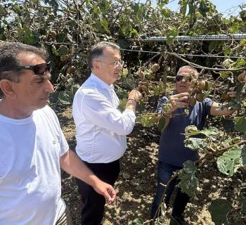 Παρέμβαση Γιώργου Στύλιου για τις ζημιές από την πρόσφατη χαλαζόπτωση σε καλλιέργειες στην Άρτα 