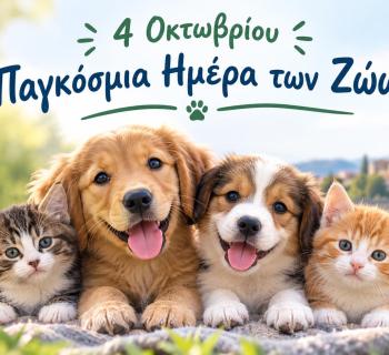 Άρτα:Ενημέρωση και ευαισθητοποίηση για την ευζωία των ζώων συντροφιάς