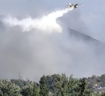 Συναγερμός στην Πρέβεζα: Μεγάλη κινητοποίηση για φωτιά στο Θεσπρωτικό