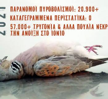 ΕΛΛΗΝΙΚΗ ΟΡΝΙΘΟΛΟΓΙΚΗ ΕΤΑΙΡΕΙΑ: ΟΡΓΙΑΖΕΙ Η ΑΝΟΙΞΙΑΤΙΚΗ ΛΑΘΡΟΘΗΡΙΑ ΣΤΟ ΙΟΝΙΟ!