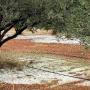 ΕΡΩΤΗΣΗ ΤΟΥ ΚΚΕ ΣΤΗΝ ΒΟΥΛΗ ΓΙΑ ΤΑ ΟΞΥΜΕΝΑ ΠΡΟΒΛΗΜΑΤΑ ΠΟΥ ΑΝΤΙΜΕΤΩΠΙΖΟΥΝ ΟΙ ΑΓΡΟΤΕΣ ΤΟΥ Ν. ΑΡΤΑΣ ΜΕΤΑ ΤΗΝ ΧΑΛΑΖΟΠΤΩΣΗ